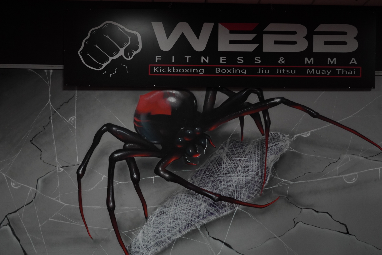 Webb MMA wall art